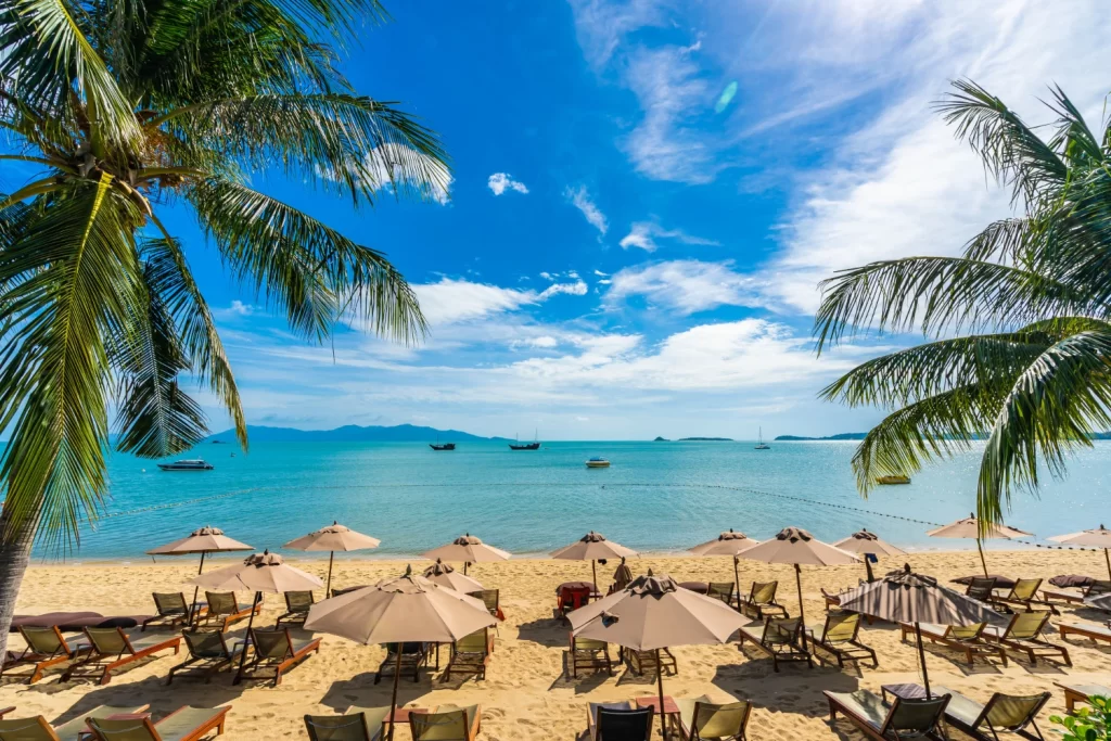 beautiful-tropical-beach-sea-ocean-with-coconut-palm-tree-umbrella-chair-blue-sky-1-1024x683