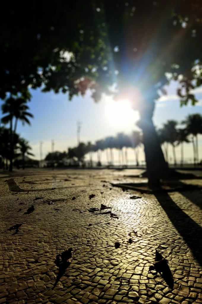 avenida_atlantica_leme_early_morning_66-681x1024
