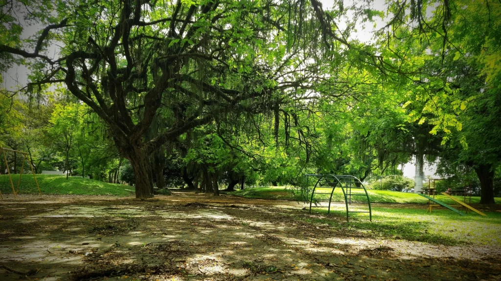 carmen_miranda_park_in_front_of_avenida_rui_barbosa_rio-1024x576