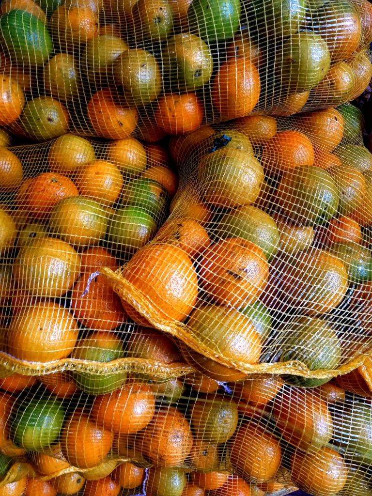 oranges_at_cadeg_rio-768x1024