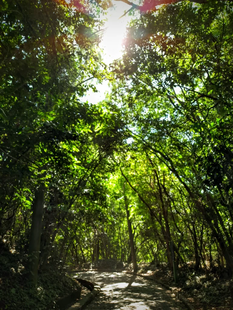 path_going_upto_caxias_fort_in_leme-768x1024