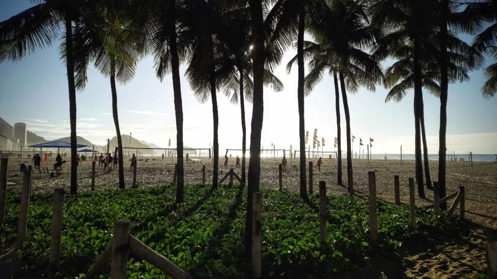 nature_area_on_copacabana_beach_01