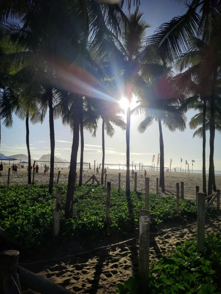 nature_area_on_copacabana_beach_02-768x1024