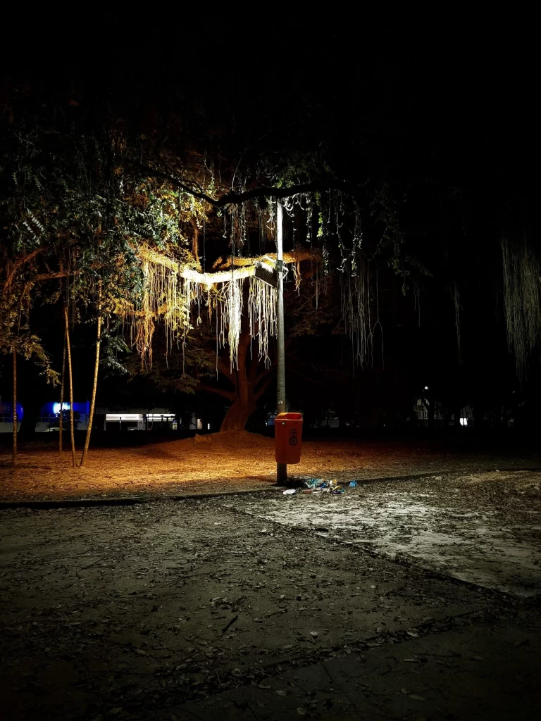 litter_bin_at_carmen_miranda_park-768x1024