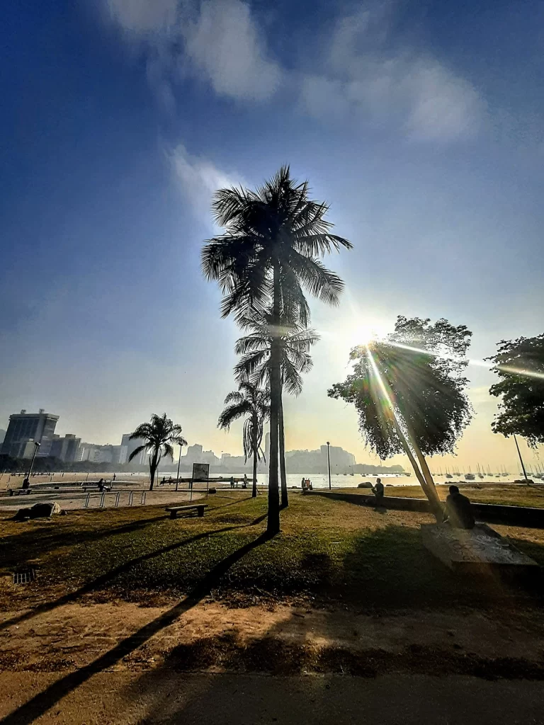 tree_at_the_beginning_of_aterro_in_front_of_botafogo_beach-768x1024