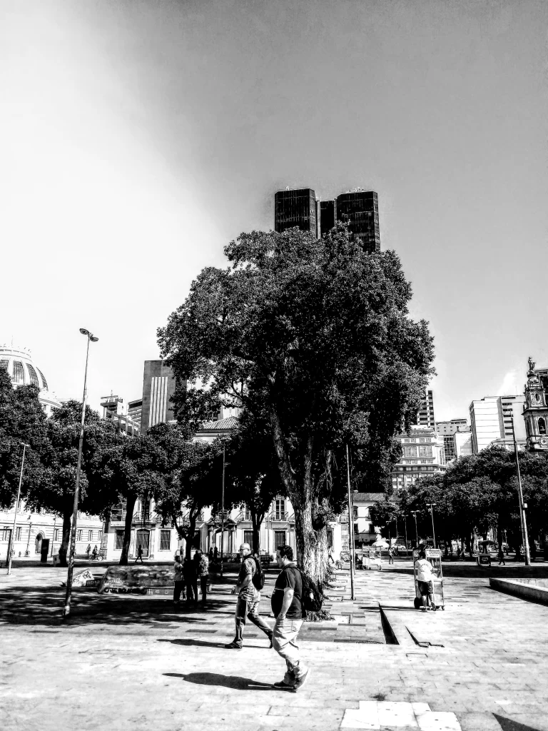 trees_in_praca_quinze_rio-768x1024