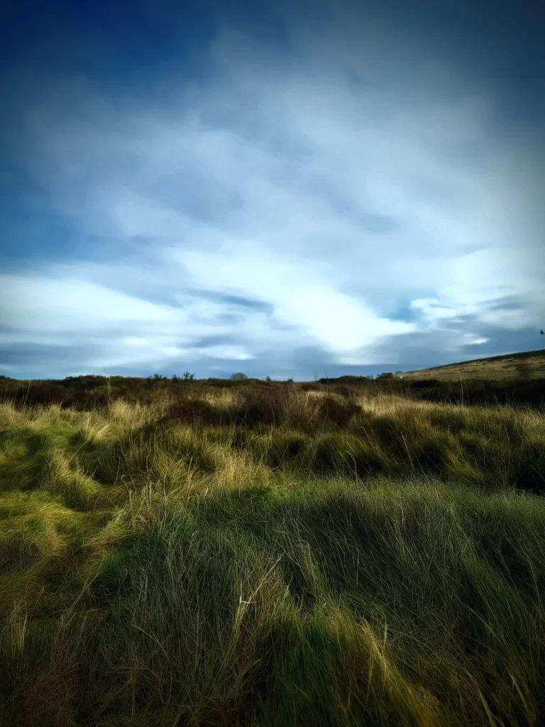 yorkshire_moors_04-768x1024