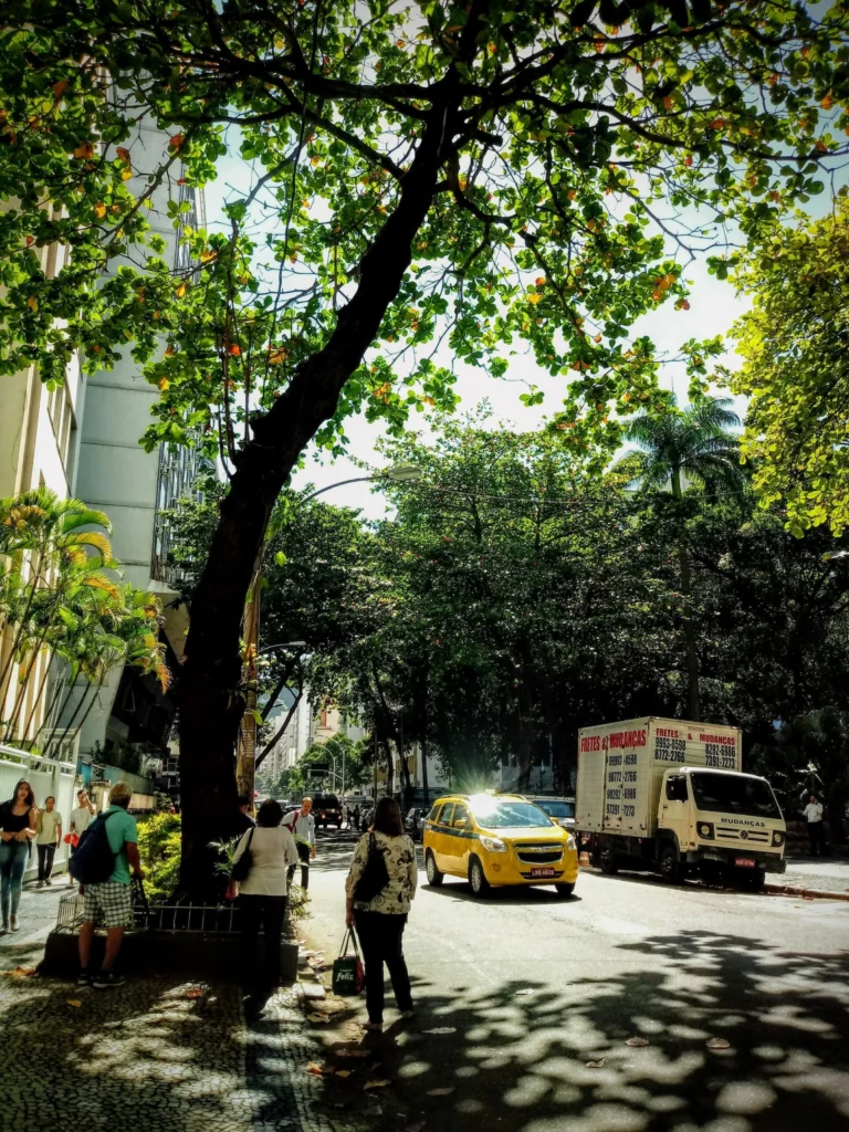 tree_in_siqueira_campos_copacabana_rio_04-768x1024