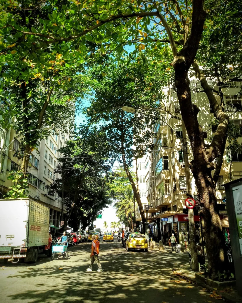 trees_in_siqueira_campos_copacabana_rio_06-819x1024