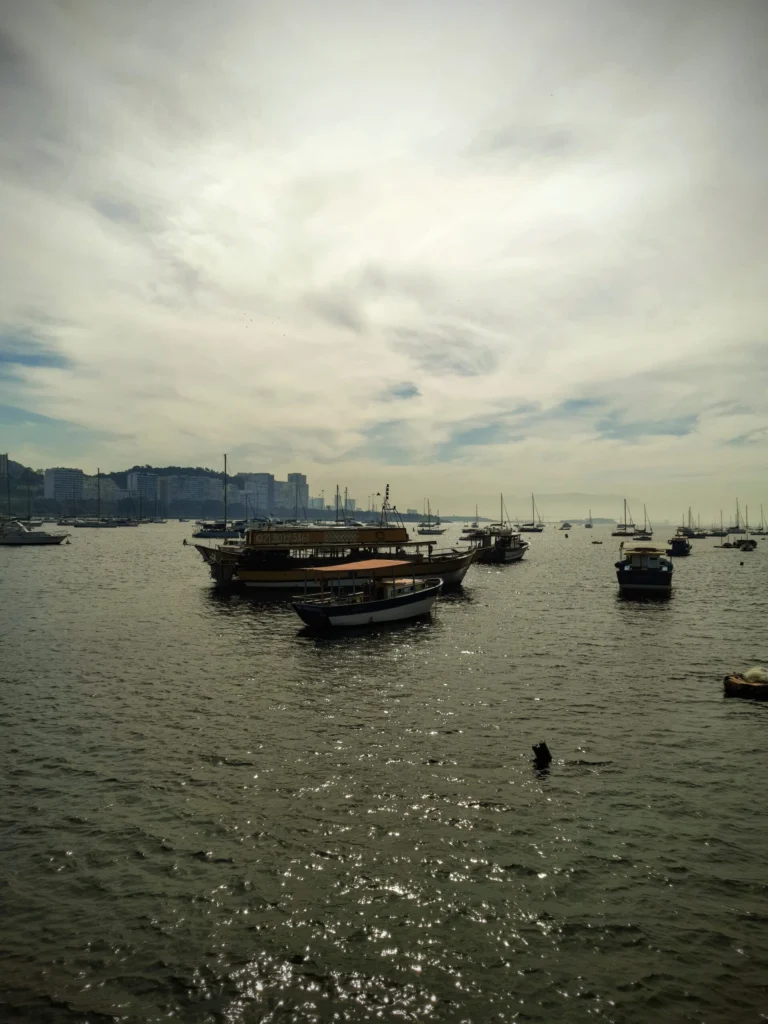 boats_in_guanabara_bay_rio_98-768x1024
