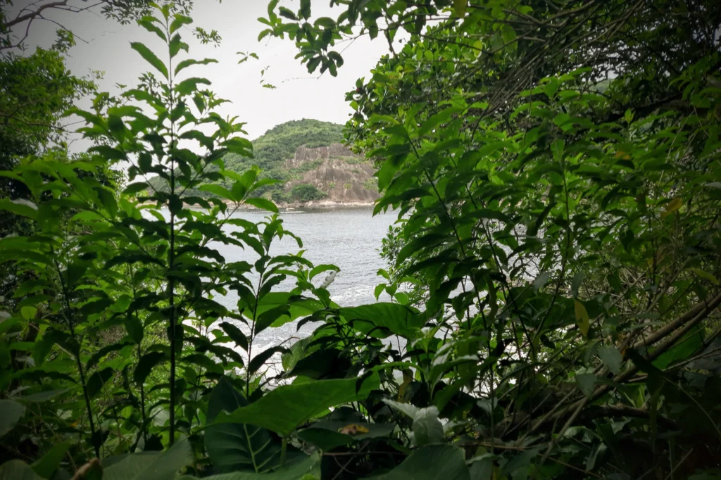 urca_from_claudio_coutinho_path_rio-1-1024x682