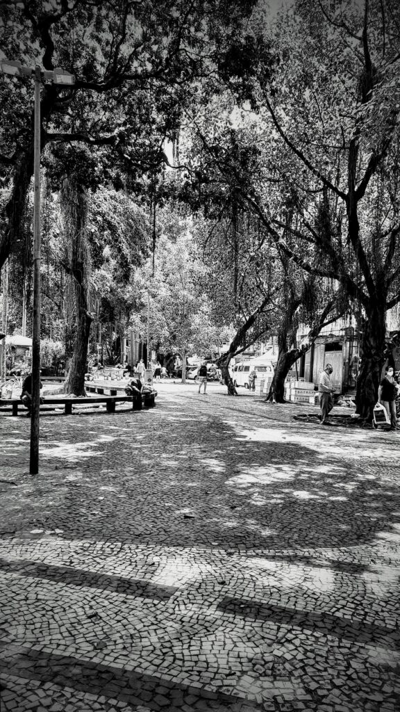 20201114_1146072-EDIT-576x1024