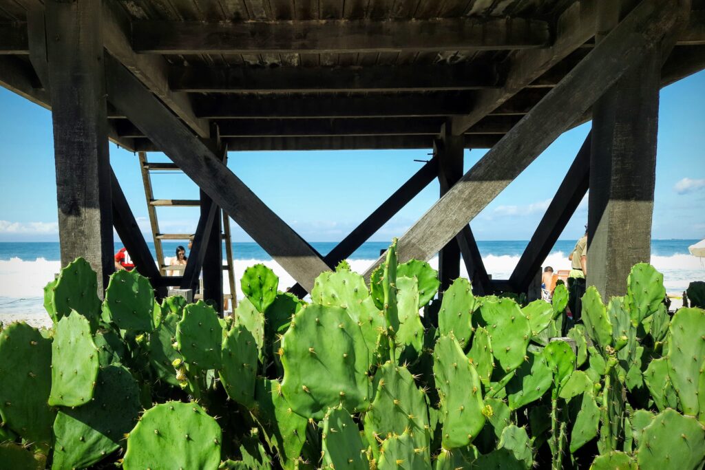 20220521_111154-EDIT-1024x683
