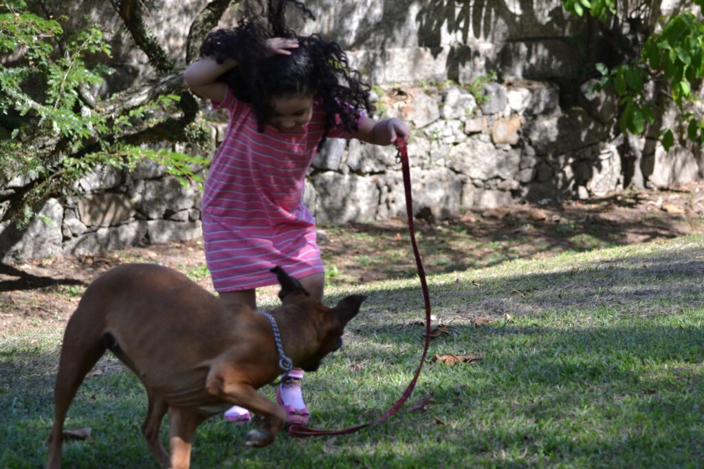 CSC_0727-1024x683