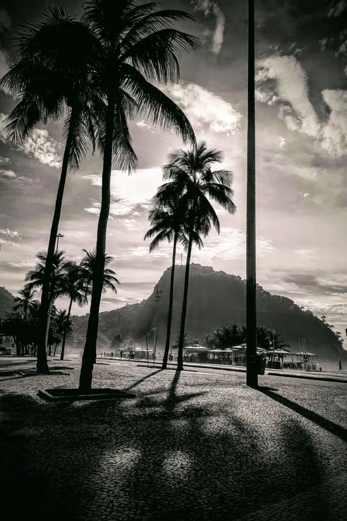 leme_beach_rio_brazil_036-682x1024