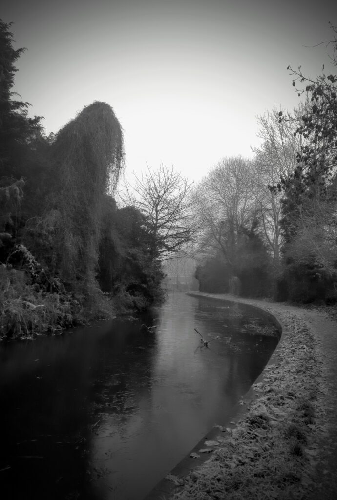 20231202_0819473-690x1024