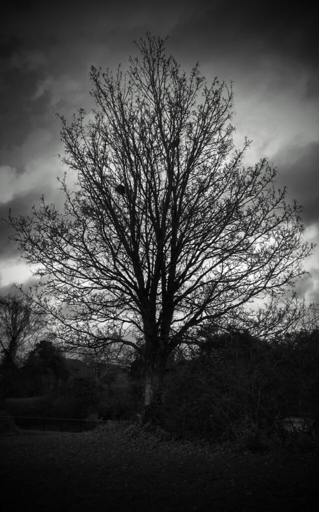 20231221_0929052-638x1024