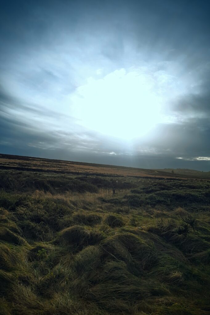 20231229_1157274-682x1024