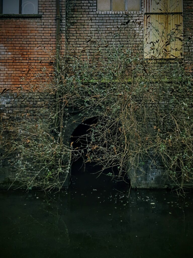 20240120_1001182-EDIT-768x1024