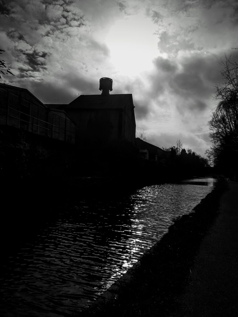 20240309_1003332-768x1024