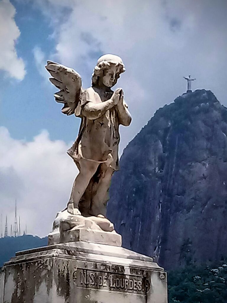 20190112_1204143-1-768x1024