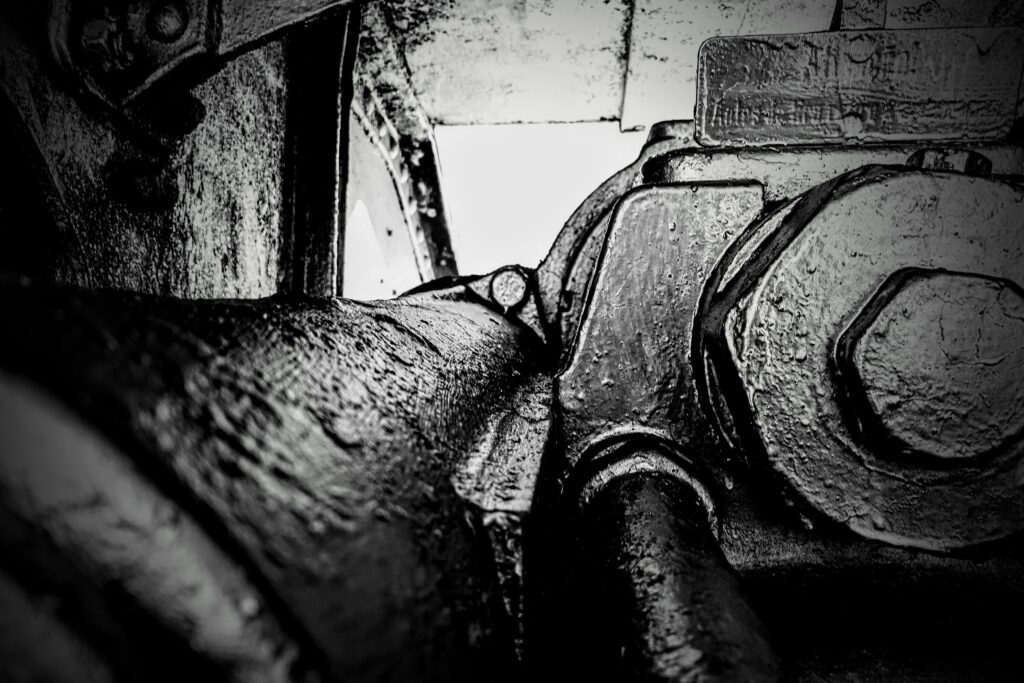 20210605_1206242-EDIT-1024x683