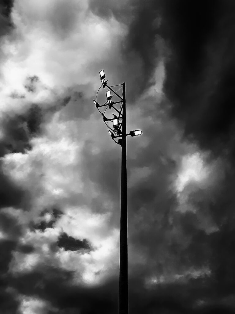 20211203_0644082-768x1024
