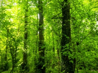 20240506_140947-EDIT-EDIT-768x1024