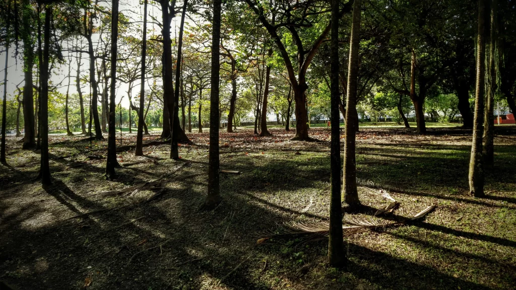 carmen_miranda_park_02-1024x576