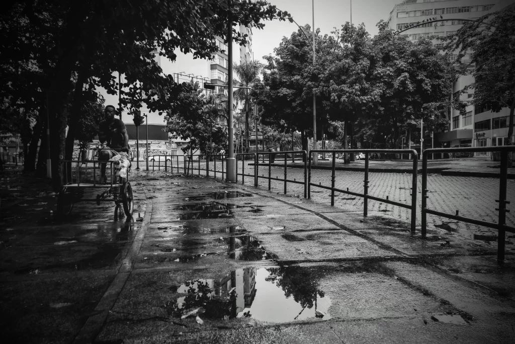flamengo_in_the_rain_02-1024x683