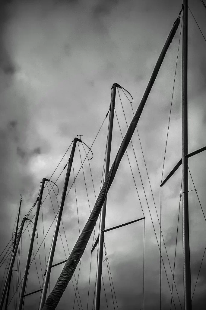 sailboat_masts_at_rio_yacht_club-683x1024