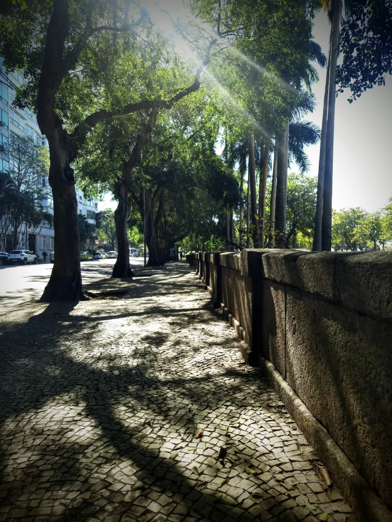 avenida_rui_barbosa_in_front_of_the_park_carmen_miranda-768x1024