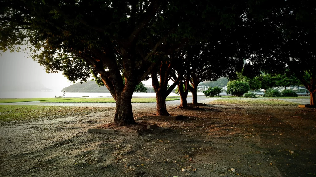 view_of_guanabara_bay_from_the_dark_park_between_botafogo_and_flamengo-1024x576