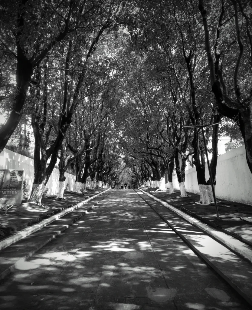 cemetary_avenida_brasil_rio-833x1024