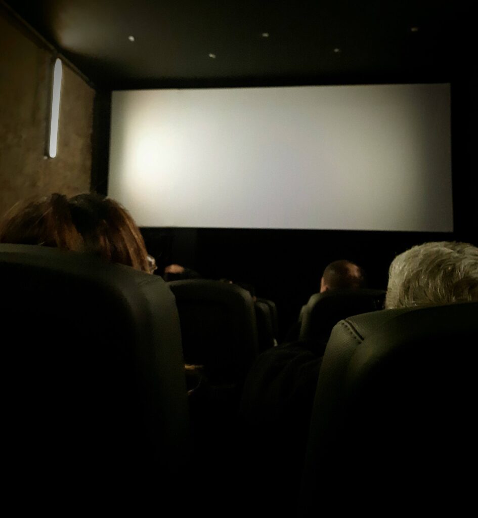 people_waiting_for_film_premier_at_boutique_cinema_at_santa_teresa_rio-scaled