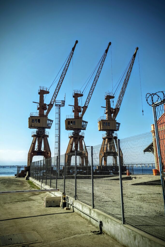 three_cranes_at_port_area_of_rio-683x1024